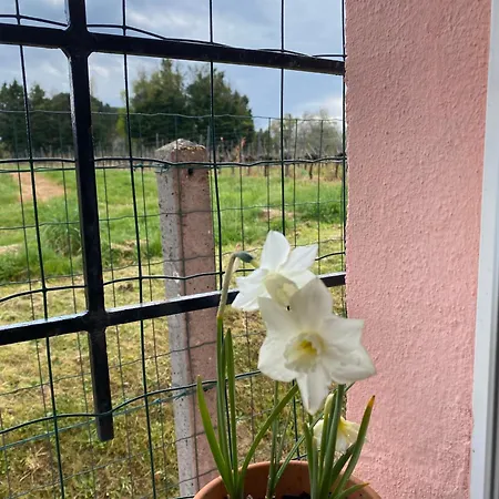 Le Bon Coin Lejlighed *