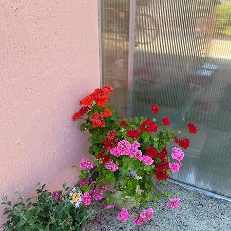 Le Bon Coin * Périssac