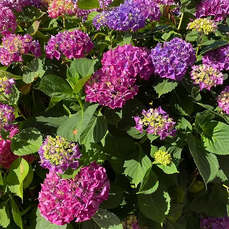 Lägenhet Le Bon Coin Périssac