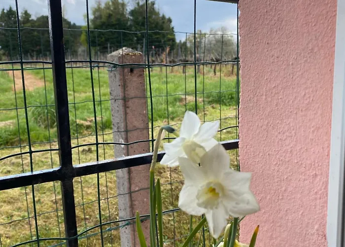 Le Bon Coin Apartman *