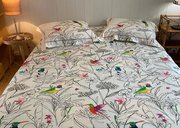 Le Bon Coin * Périssac