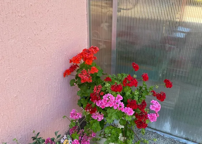 Le Bon Coin * Périssac