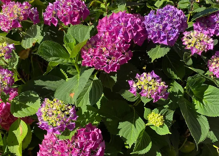 Lägenhet Le Bon Coin Périssac